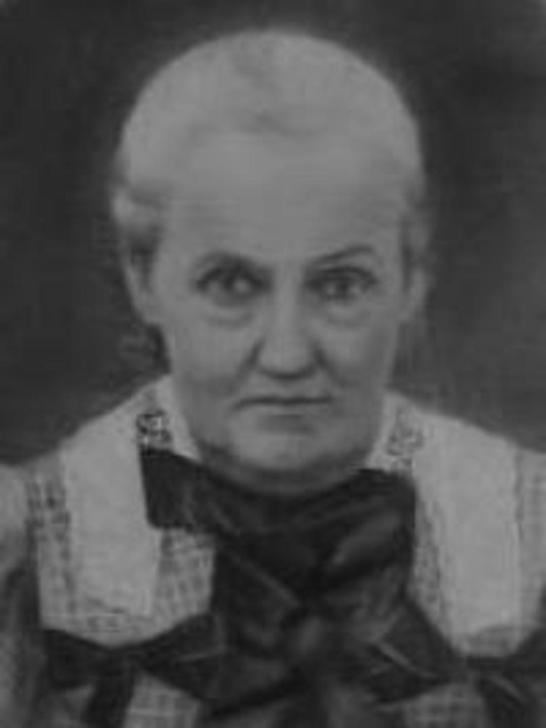 Arabella Hailey (1838 - 1906) Profile